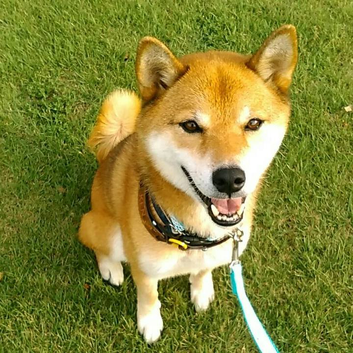 3f80ed0c bc3e 459b a759 d3a86322e128 1568275435670