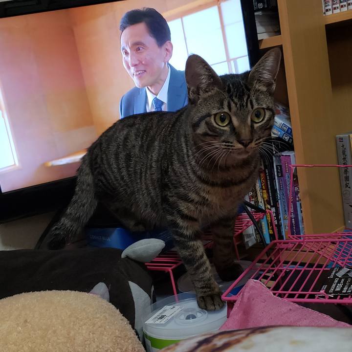 3f80ee34 410e 4a59 9504 ea2bec2372fb 1549164048076