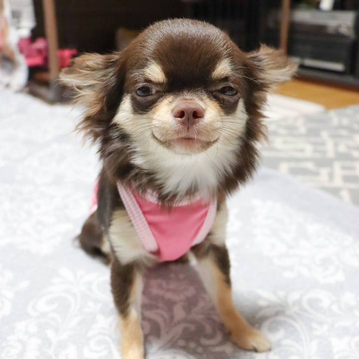 3f8111c9 9610 418d 817b 3c4a7197cc6c 1752564634959