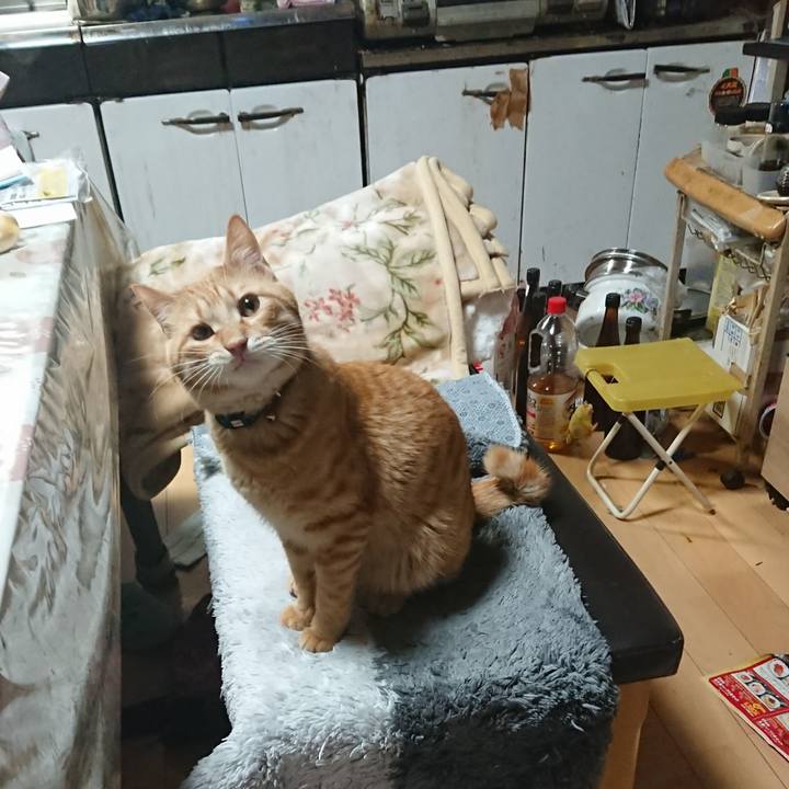 3f8122e3 f06f 4b7f b6b9 0a360773d843 1645706055426