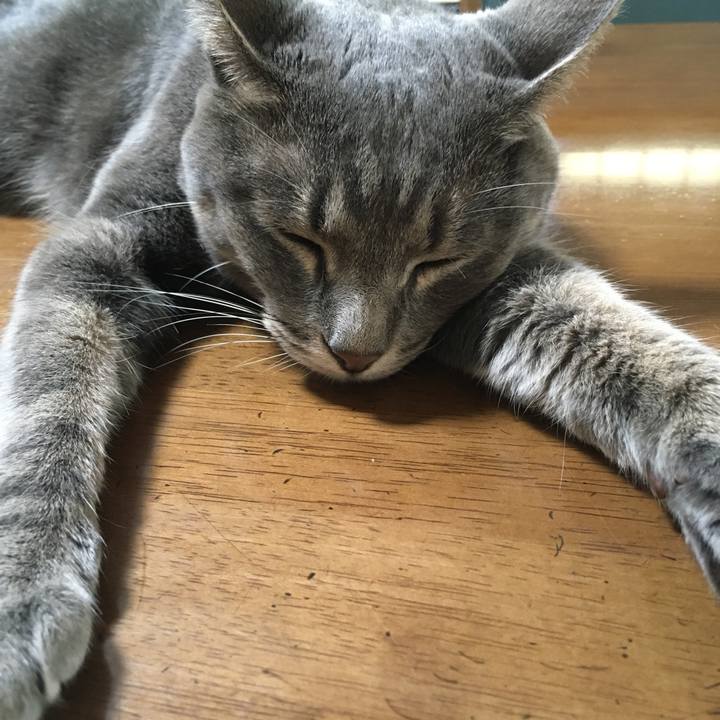 3f814ea9 0627 4ec3 b78d 2e33f50a524b 1596850198664