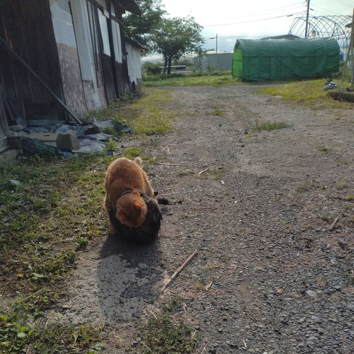 3f81513f 8928 49ce 8d58 9b62144cb2ad 1688427532128