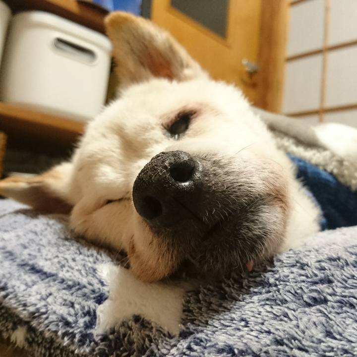 3f81972c ec5b 4bae b4b3 3f45644bbed5 1545400024553