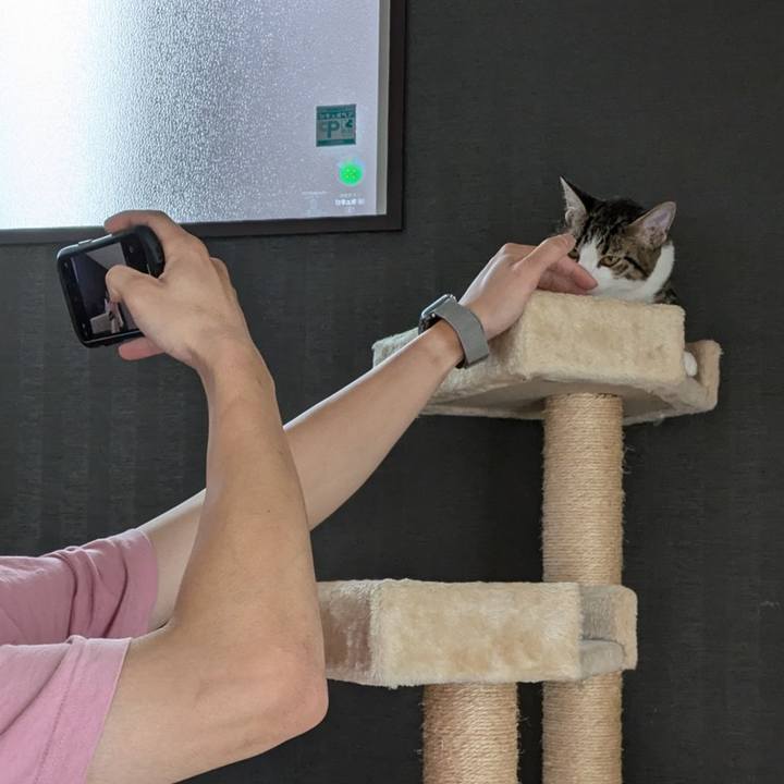 3f81a372 4253 4159 a65e 486565c05f1b 1727267578503