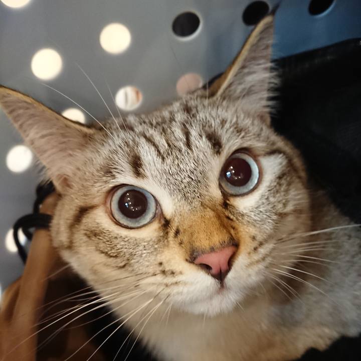 3f81eaeb bea2 41b8 8d46 4d9ac780ca0b 1566638990053