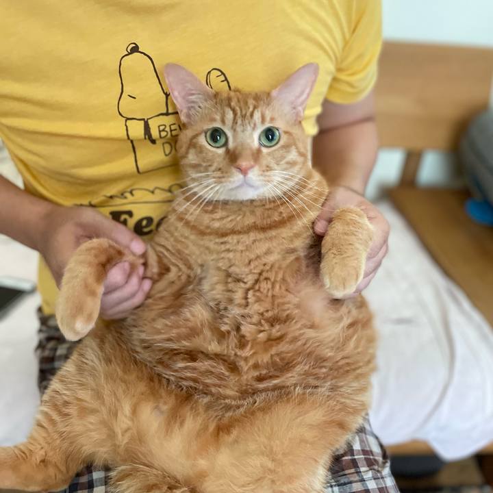 3f81ee38 f6eb 4bf3 b38e eea4a04e8fd2 1693695675786