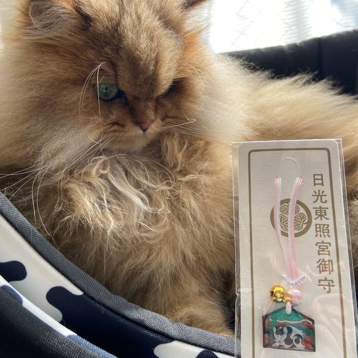 3f820d14 d865 4a22 8662 cd9291e2ffce 1579005902494