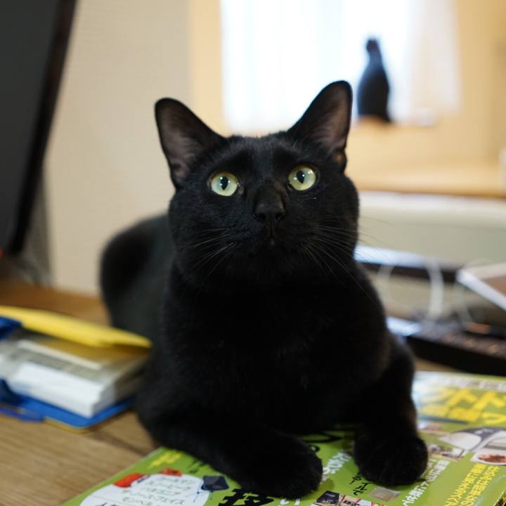 3f8211fe e8d5 41b9 9e48 d195b19a59d4 1538609333461