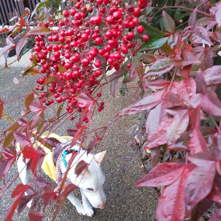 3f822cd1 ab61 467c 93d9 7c3cd19a9666 1549923162597