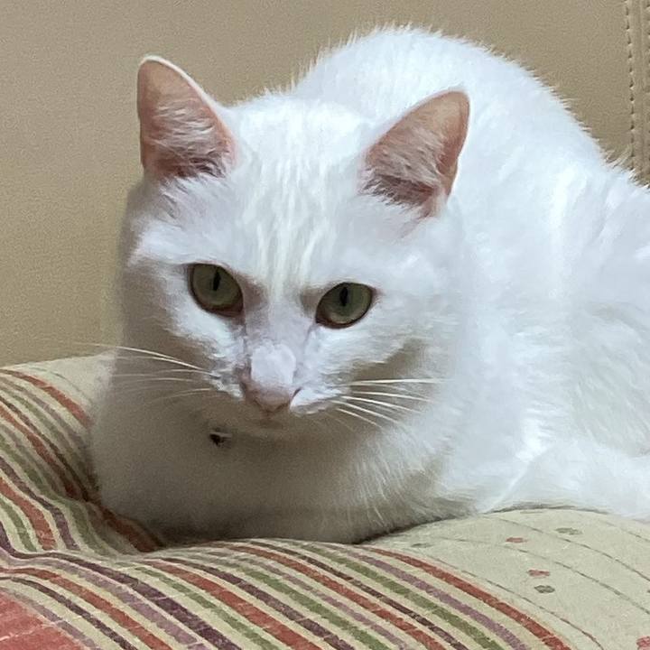 3f8239bf 9ea9 443c 9a5a ff140c5f1066 1665787666522