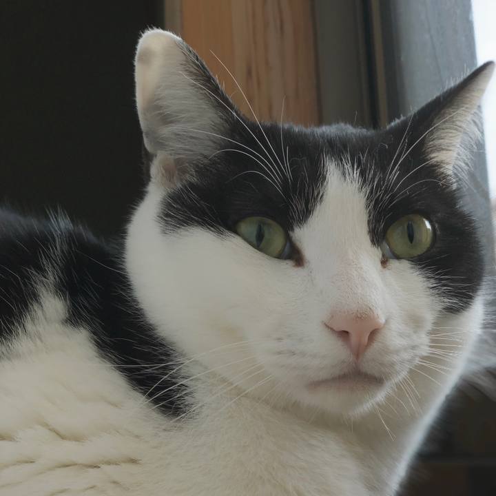 3f827c97 d9c3 44c7 b080 8f270e43df26 1550888047552