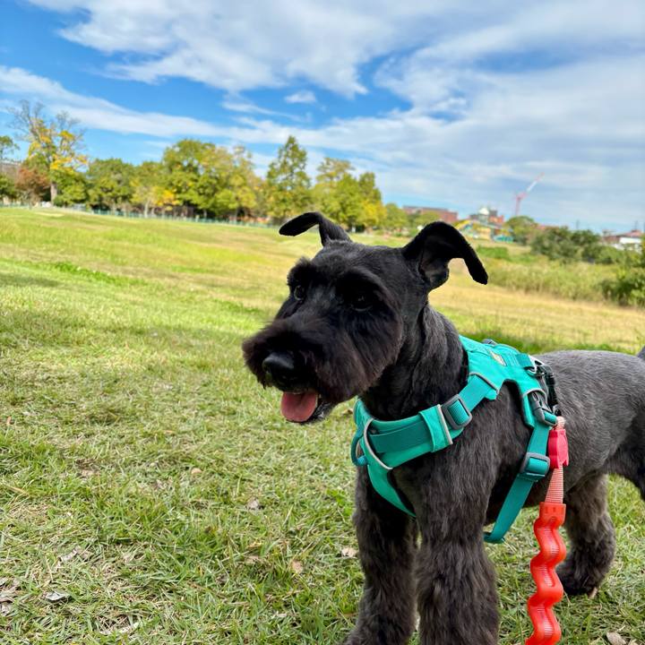 3f8295f3 1066 4e61 92be 82e72ecaa7f4 1762410536398