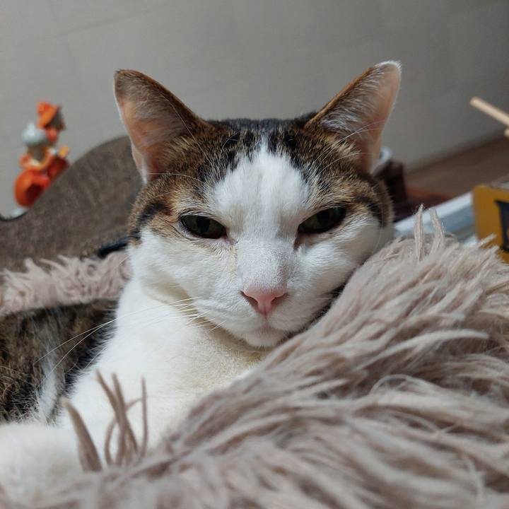 3f82e252 14eb 4fdd 9224 beb2f67eb2d6 1742160920031