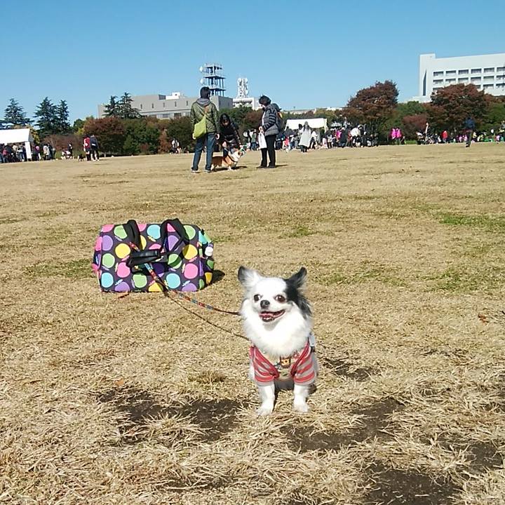 3f82f688 6117 4dc7 9b02 20a46122c2f8 1511088607134