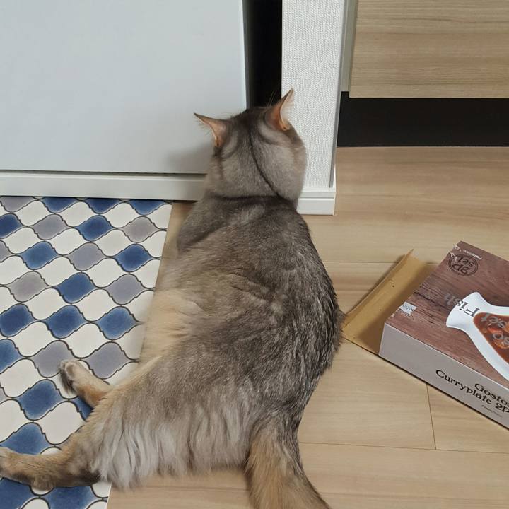 3f82f74c 7cac 4a26 ad66 551c3892a240 1516316804513