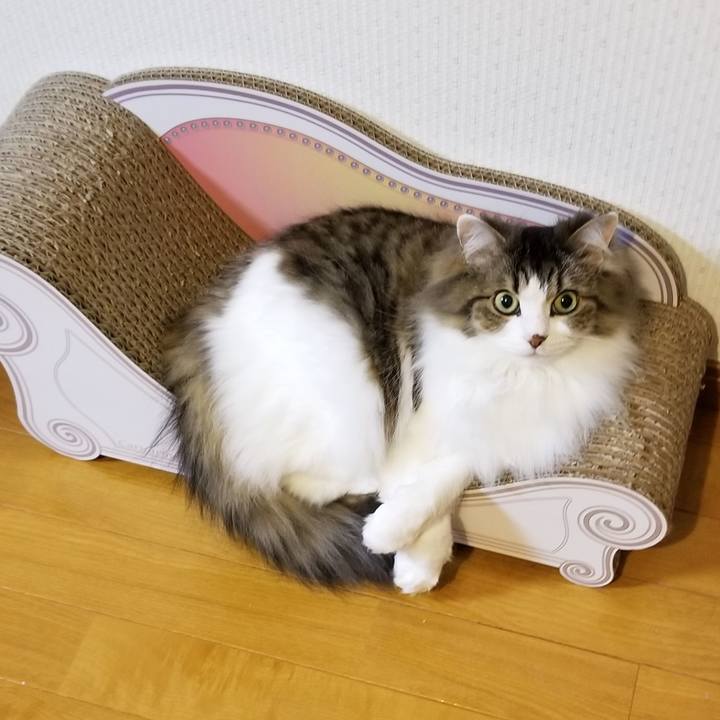 3f8337ea 4607 4fd9 b6bb f24f2169e26b 1580297272737