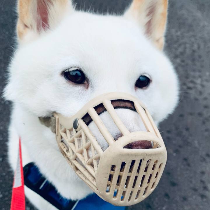 3f833b20 57f8 412f b023 834cba2b1fa7 1628973912663