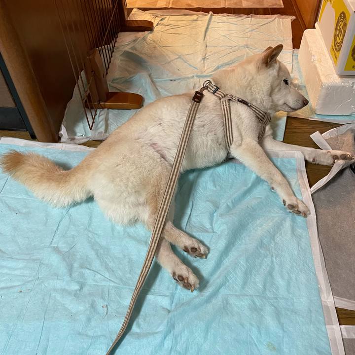 3f835fdc 906f 4911 9d3c 4b7a5352f261 1637220188553