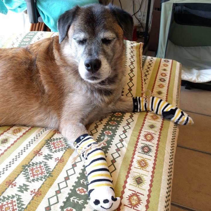 3f8378a5 48ab 4a52 a4de 36a6de5ef338 1536218252696