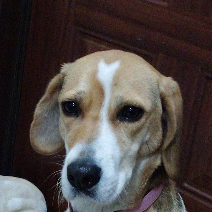 3f838a98 e646 489d 83f8 c115e8496b3e 1578468816173