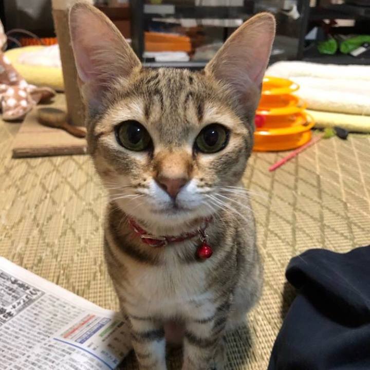 3f83aa22 60f7 4630 b13a b6f4afdb5a5f 1590652033184