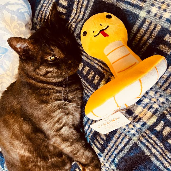 3f83ae3d e53f 4a7f b4c3 82b0ff15fd24 1736826336897