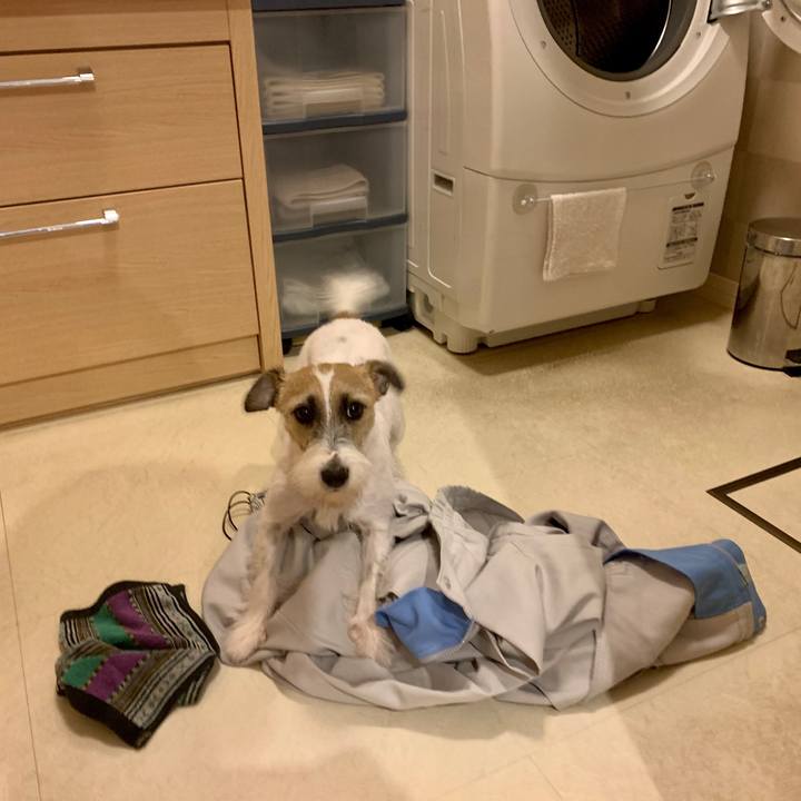 3f83bfeb a3d0 422c b5eb 63be4a199dc1 1603451316853