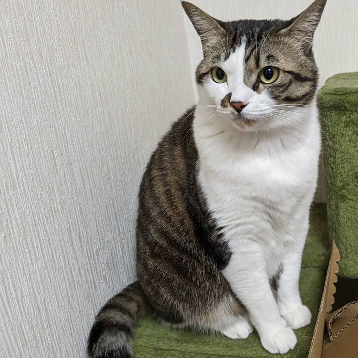 3f83cf04 0f33 40a5 99e8 f9520698be10 1674997715477