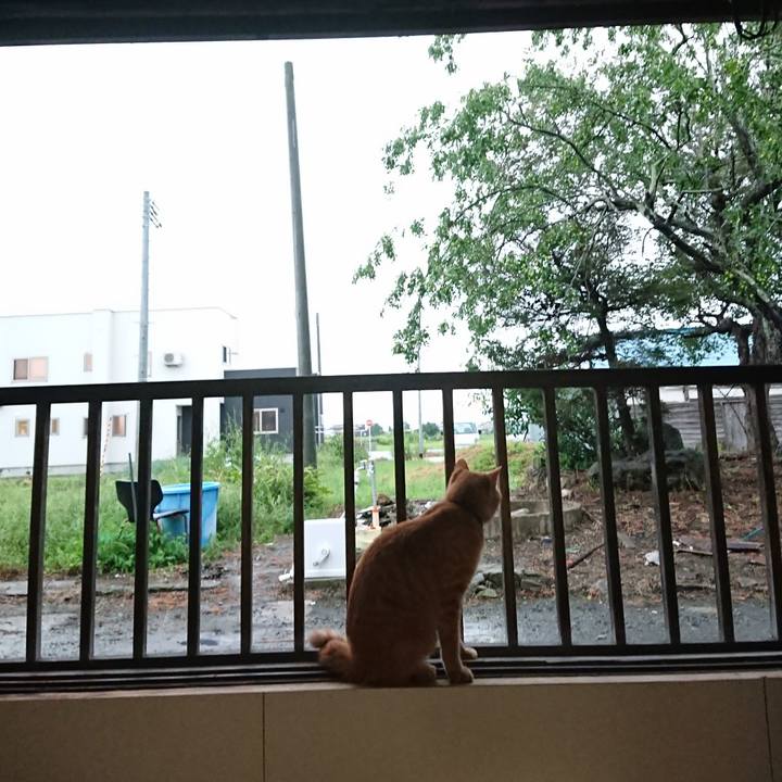 3f83d820 076f 4233 96f8 7fe462679bdb 1662583832830