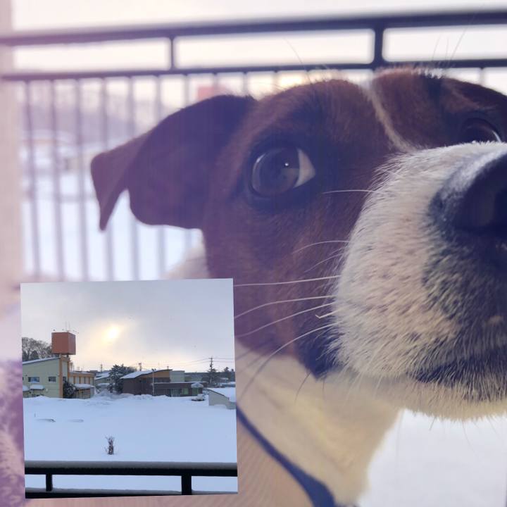 3f83f03a 38c2 4b70 b163 2e0967e9ab31 1547765895744