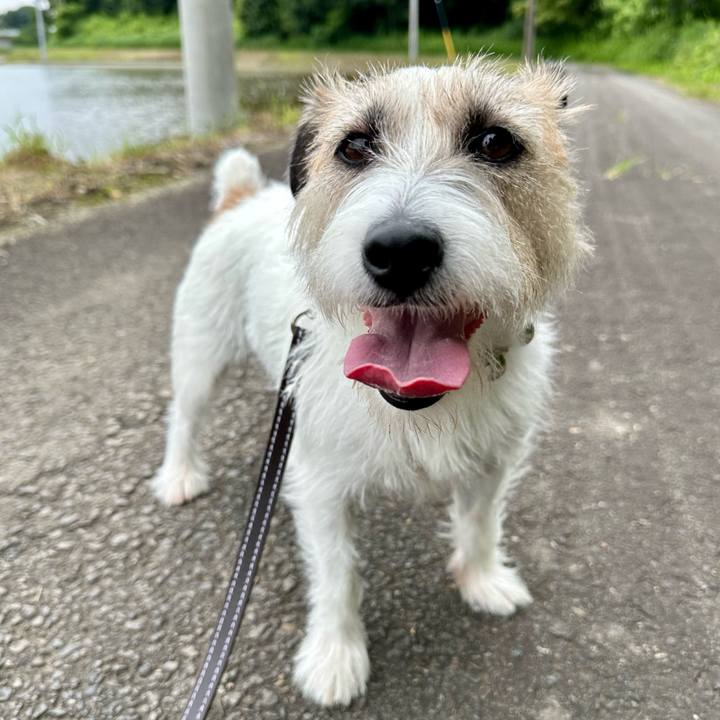 3f840601 4407 4e18 830e a6535cc576b0 1749879963114