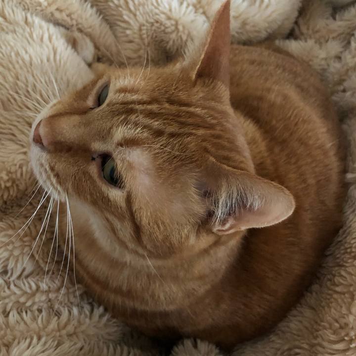 3f841541 135f 408b a11a dee28f89699b 1588033580226