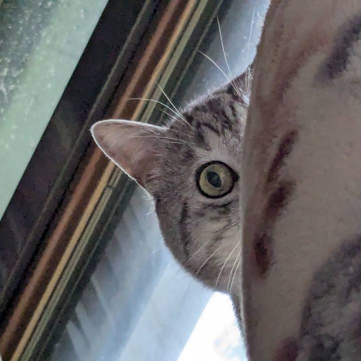 3f843da0 3f4f 46e6 ab54 f32b789dfc7a 1748683714514