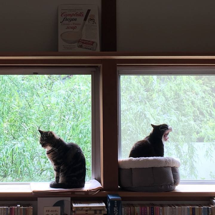 3f847e5a 1252 4ee8 b627 a525a3757ca3 1555627970740