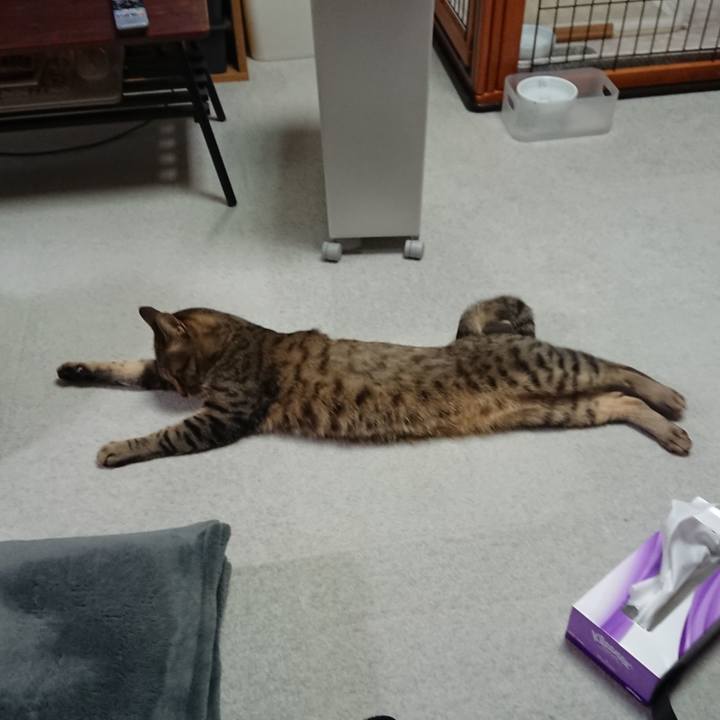 3f8484a0 8331 46ab 9525 8af44e661d10 1580230116231