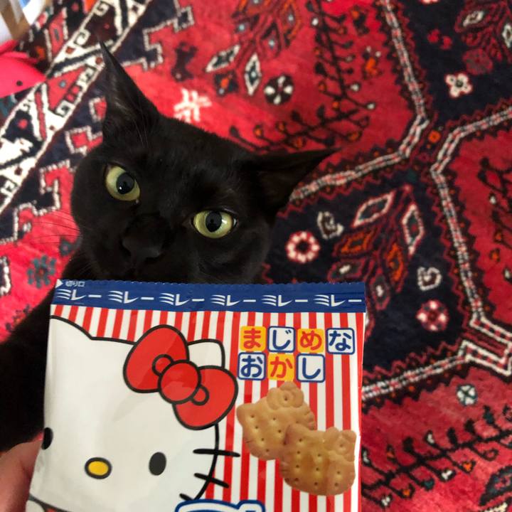 3f84c03e 515a 43f6 9f72 9f725ca30e3c 1607731873555