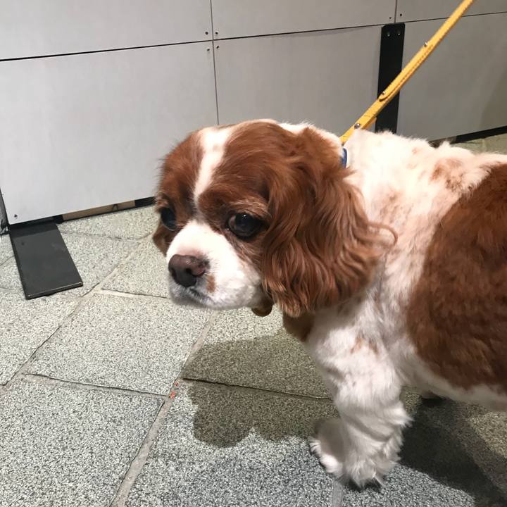 3f84c1a0 d415 4705 8b68 2cd992e01a52 1511187179071