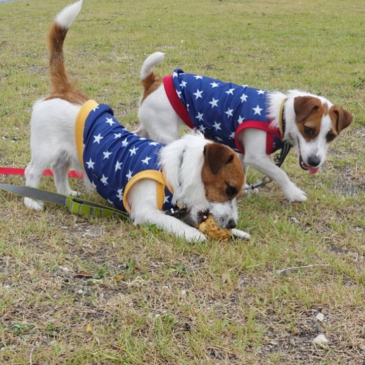 3f84db71 cafa 42b5 85ec b42acea51699 1508244098121