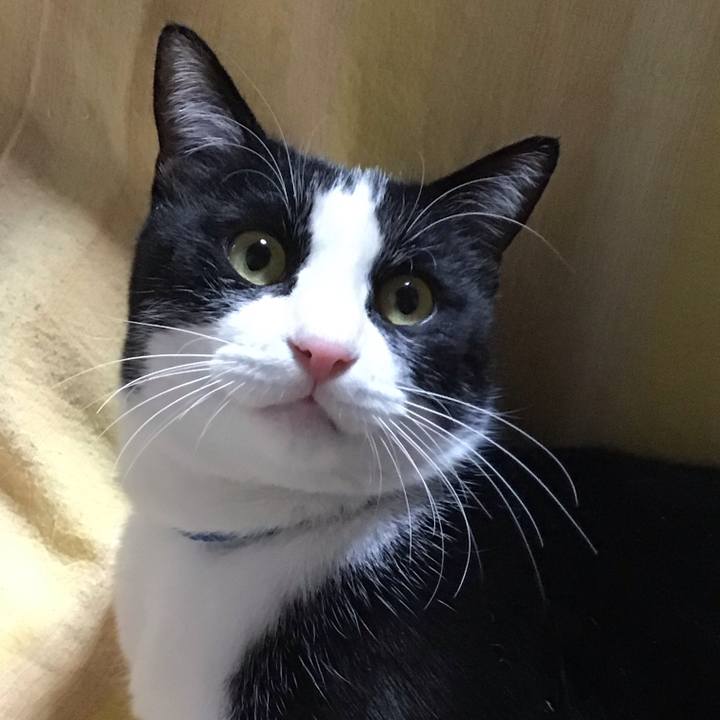 3f84f120 a284 4d76 8ba2 bacbfb563038 1675170505070