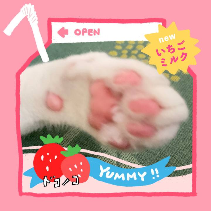 3f854ec1 4a0d 4477 8e92 a679534cf711 1711083734622