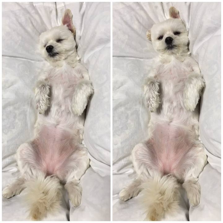 3f855add a742 4e36 b5c9 0193884afabb 1556974733918