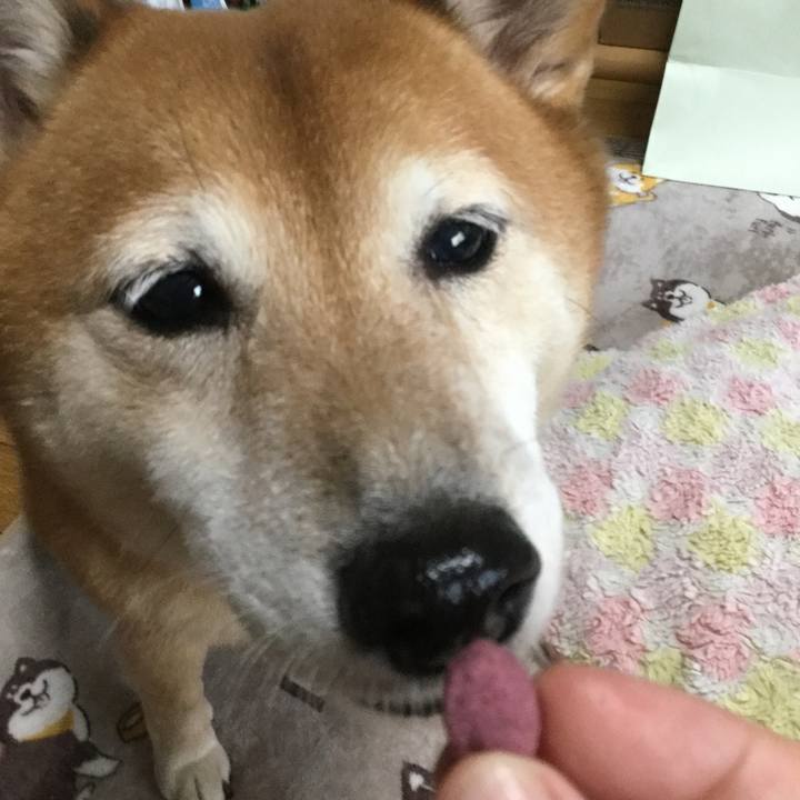 3f85a904 29ff 43d0 97c4 8bca09c93791 1601868629669