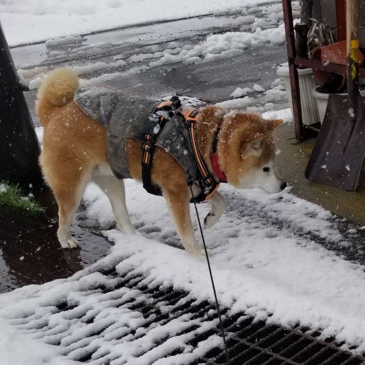 3f85b908 5ca6 4dc9 8340 f7def12b9c5d 1740971494353