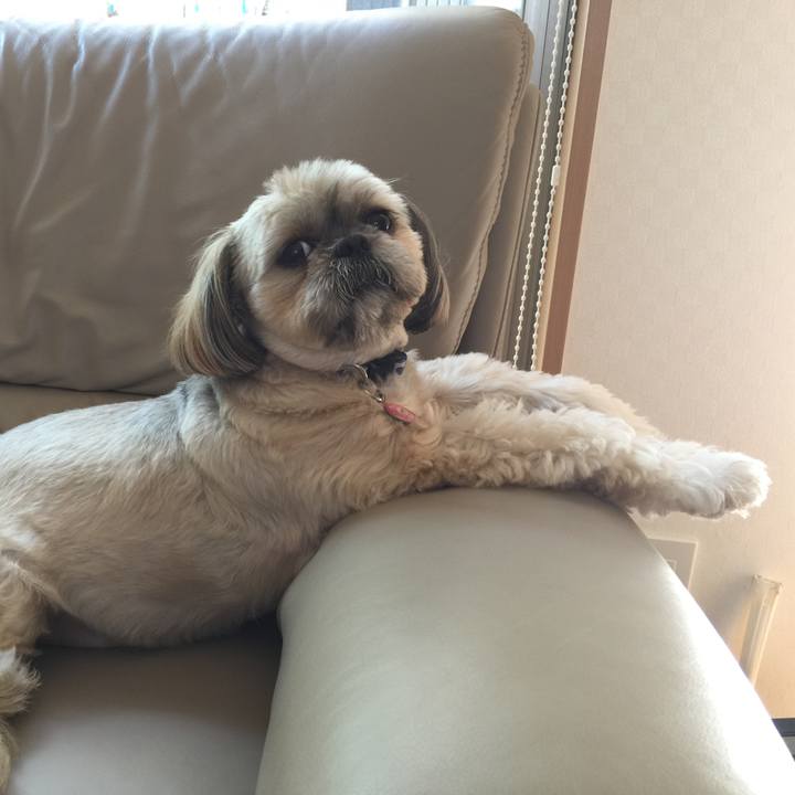 3f85dd4b 2de2 4fd2 aadb bc9ad067ddac 1509000034720