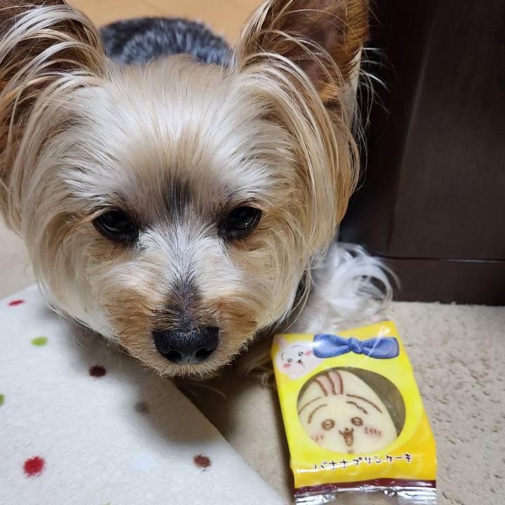 3f861942 828f 47b8 8819 cb86cdaf01b0 1719396630653