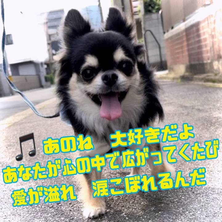 3f861973 91e6 4ba4 8b45 7f100c2a762d 1688728598642