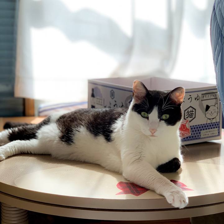 3f862efe 4206 4872 9e7a b53ffb443bcc 1564883673077