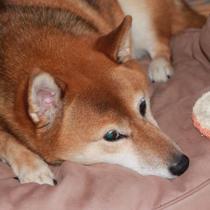 3f86356b 2aa5 4ae7 b42a e75ac6e20141 1539129963042