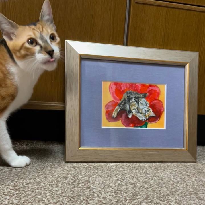 3f863db0 d74b 49d2 b3a0 106d4c078745 1663587281587