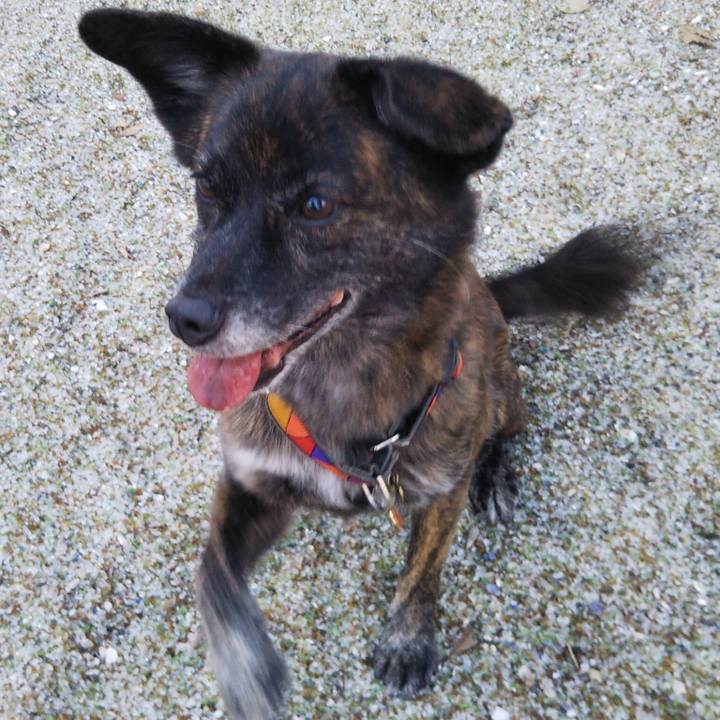 3f865479 fca6 47a1 b696 39817ad4b940 1539687496038